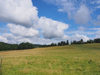 Scenic view of field against sky
