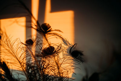 Close-up of silhouette plants against sky at sunset