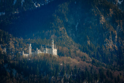 Panoramic view of trees and buildings in forest