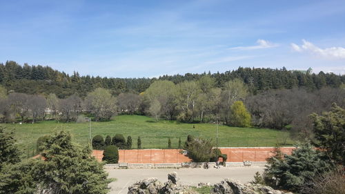 Scenic view of trees on field against sky