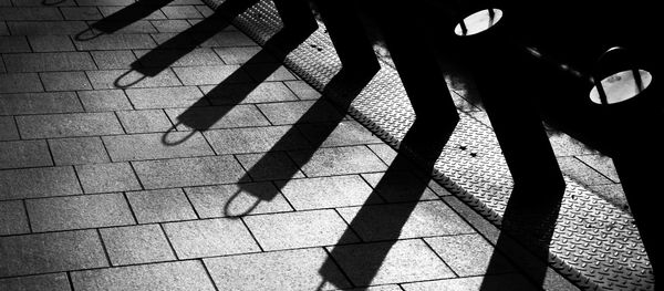 Shadow of tree on the wall