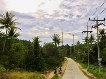 People walking on road amidst trees against sky