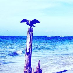 Scenic view of sea against blue sky