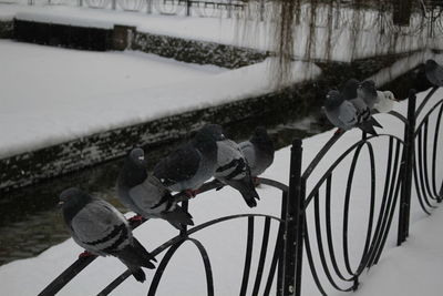 Close-up of snow on water