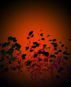 Close-up of orange wall