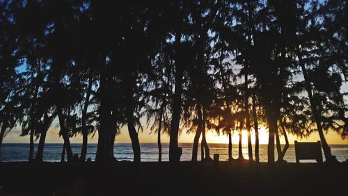 Silhouette trees on beach against sky during sunset