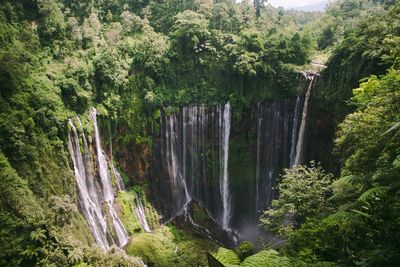 Hidden waterfall view in sukabumi city - indonesia