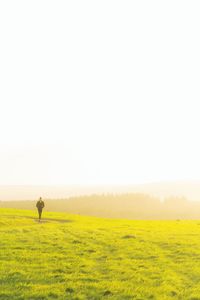 Rear view of man standing on field against clear sky