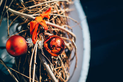 Close-up of christmas decoration