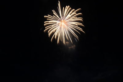 Low angle view of fireworks in sky at night