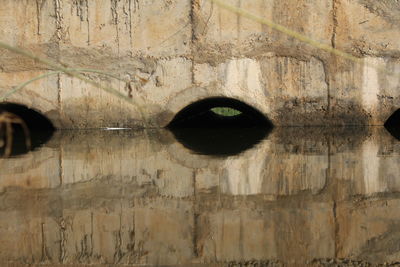 Close up of human eye
