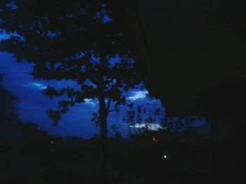 Low angle view of illuminated trees