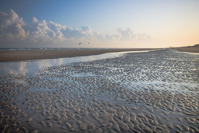 Scenic view of beach against sky during sunrise in oostende, belgium