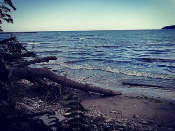 Scenic view of sea against sky