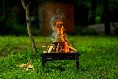 Bonfire on wooden log in field