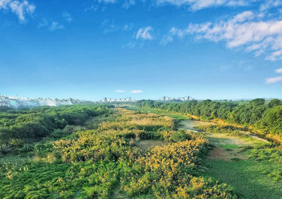 Scenic view of field against sky