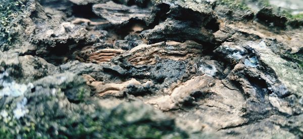 Full frame shot of rocks