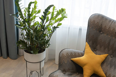 Geometric armchair with pillow in shape of star, rest area, potted plant.