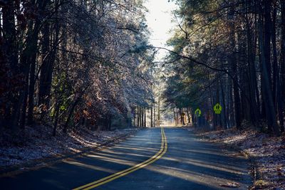 Road amidst trees in forest