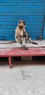  chudi wali gali shahjahanpur uttar pradesh india