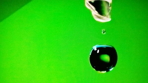 Macro shot of water drops on green leaf