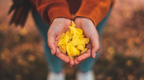 Low section of woman holding yellow flowers on field 