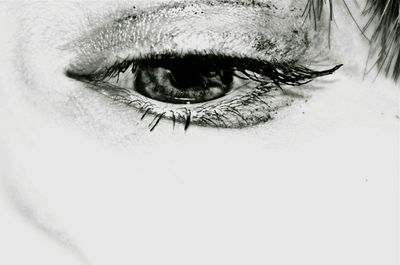 Close up of human eye