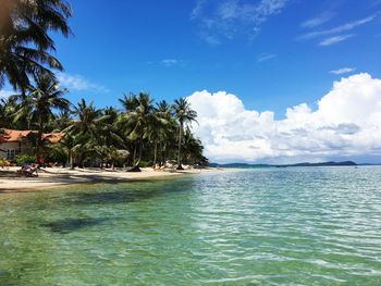 Scenic view of beach against sky