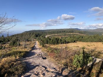 Scenic view of landscape against sky