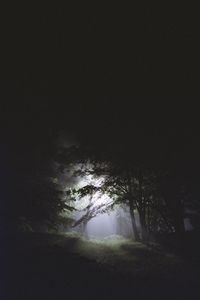 Scenic view of forest against sky at night