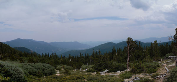 Trees and mountains against sky