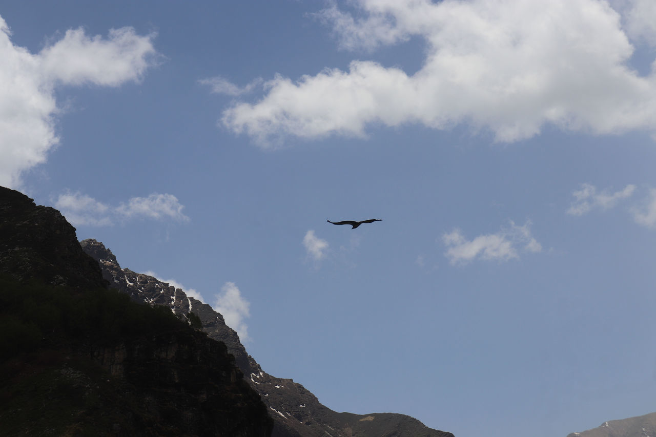 flying, sky, cloud, bird, animal themes, animal, mountain, animal wildlife, nature, air vehicle, airplane, wildlife, transportation, low angle view, one animal, mountain range, mid-air, travel, no people, mode of transportation, beauty in nature, day, environment, outdoors, scenics - nature, rock, motion, on the move, travel destinations, blue, animal body part, vehicle