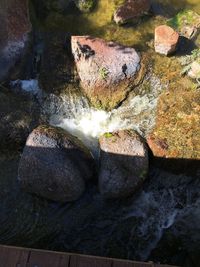 Close-up of rock formation in water