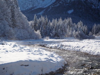 Scenic view of frozen river by trees during winter