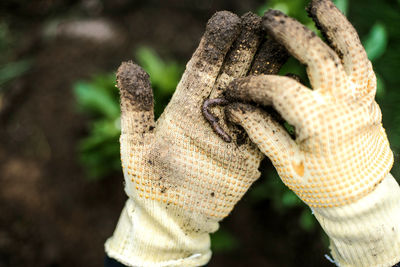 Close-up of hand