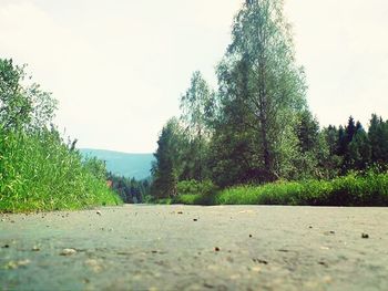 Scenic view of landscape against clear sky