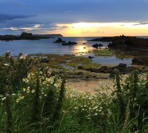 Scenic view of sea at sunset