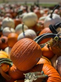 Close-up of pumpkins for sale at market stall