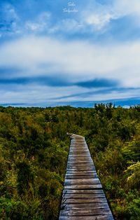 Wooden footbridge over lake against sky