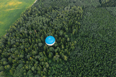 Flying a lonely hot air balloon over the green forest.