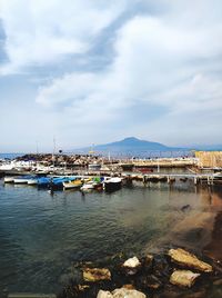 Sailboats moored in harbor