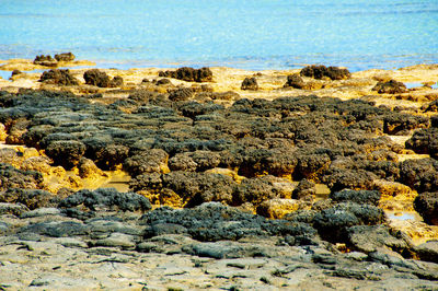 Scenic view of rocks on beach against sky