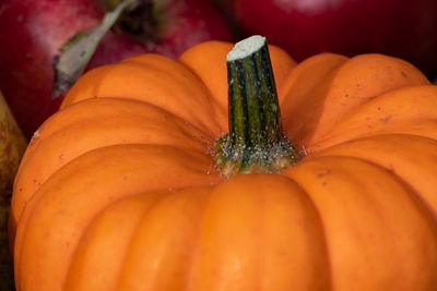 Close-up of pumpkin
