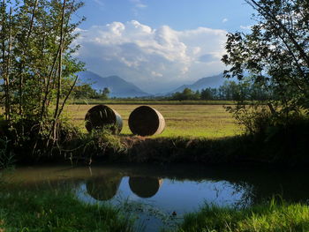 Scenic view of farm against sky