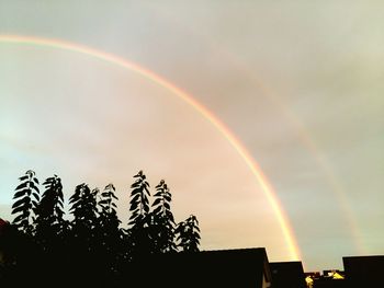 Low angle view of rainbow over trees