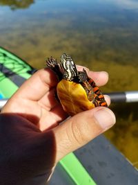Close-up of hand holding leaf