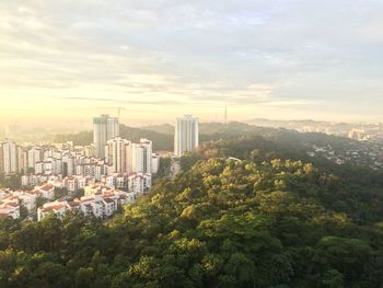 Trees and cityscape against sky during sunset