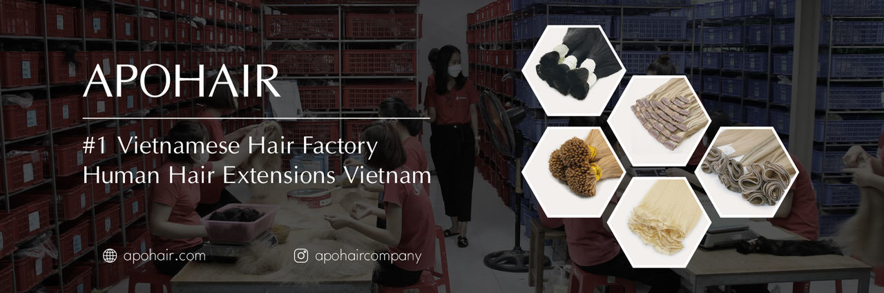 Apohair Top 1 Vietnam Hair Factory