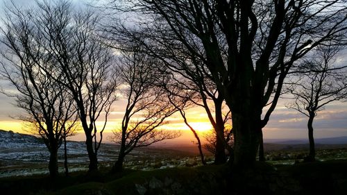 Silhouette of bare trees against sky at sunset