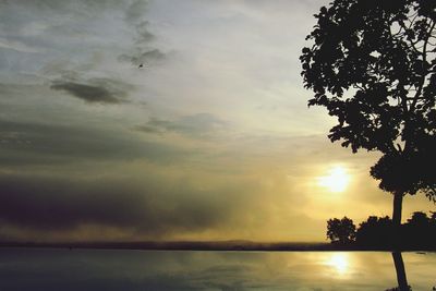 Silhouette trees by swimming pool against sky during sunset